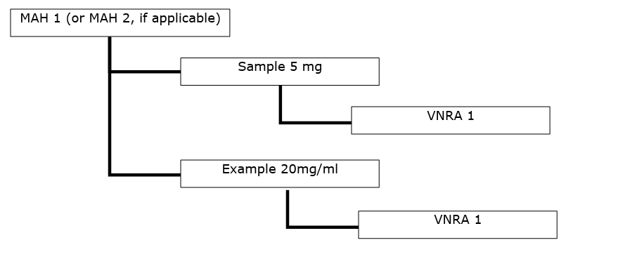VRNA sample diagram 4