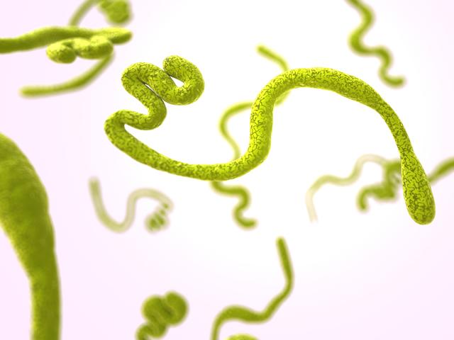 ebola_first_vaccine.jpg Ebola first vaccine approved