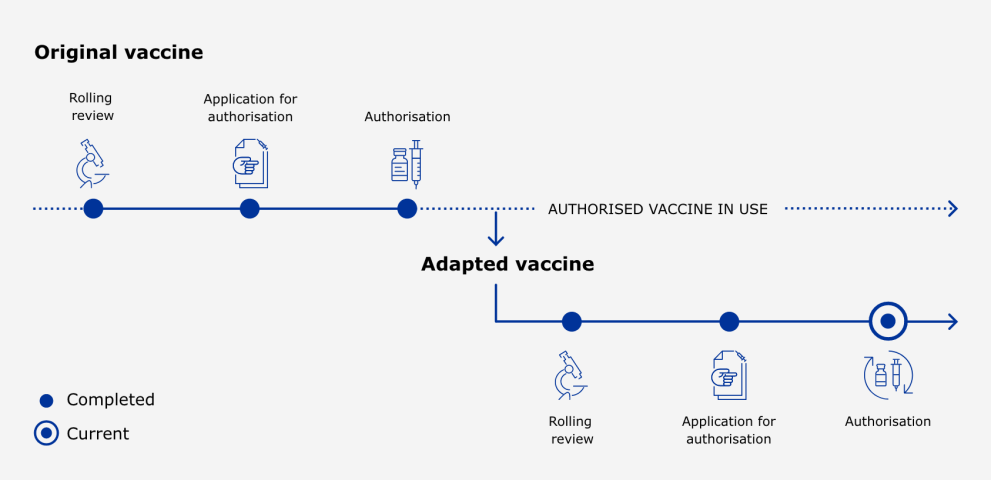Milestones for adapted COVID-19 vaccines, from rolling review to authorisation